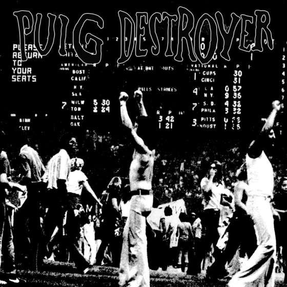 Puig Destroyer Album Review 2014