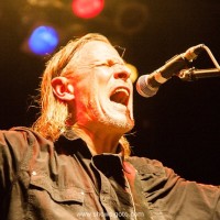 swans live review and concert photos