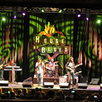 The Wailers Live Review 2016