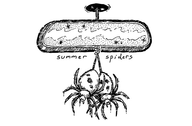 Summer Spiders Band Florida