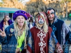 Bear Creek Music Festival | November 13-16, 2014 | Spirit of the Suwannee Music Park | Live Concert Photos