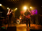 Liquid Pennies Live Concert Photos 2025