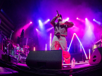 Hoodie Allen Live Concert Photos 2024