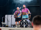 This Wild Life Live Concert Photos 2024