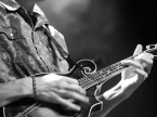 Mountain Grass Unit live concert photos 2026
