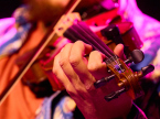 Mountain Grass Unit live concert photos 2026