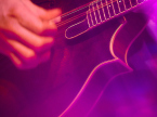 Mountain Grass Unit live concert photos 2026