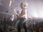 Pigeons Playing Ping Pong Live Music Concert Photos 2024