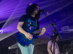 Pigeons Playing Ping Pong Live Music Concert Photos 2024