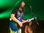 Pigeons Playing Ping Pong Live Music Concert Photos 2024