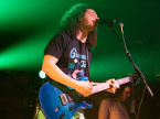 Pigeons Playing Ping Pong Live Music Concert Photos 2024