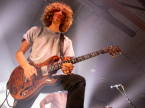 Pigeons Playing Ping Pong Live Music Concert Photos 2024