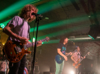 Pigeons Playing Ping Pong Live Music Concert Photos 2024