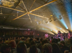 Pigeons Playing Ping Pong Live Music Concert Photos 2024