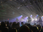 Pigeons Playing Ping Pong Live Music Concert Photos 2024