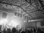 Pigeons Playing Ping Pong Live Music Concert Photos 2024