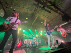 Pigeons Playing Ping Pong Live Music Concert Photos 2024