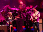 Tedeschi Trucks Live Concert Photos 2025 Tedeschi Trucks Live Concert Photos 2025