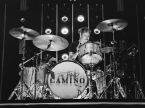 The Band Camino Live Concert Photos 2025