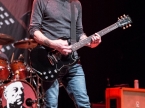 Toadies