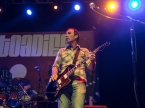 Toadies
