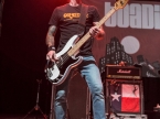 Toadies