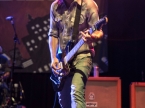 Toadies