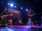 Toadies