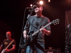 Toadies