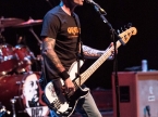 Toadies