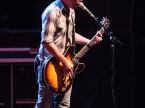 Toadies
