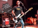 Toadies