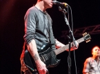 Toadies