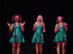 Christopher Cross Live Concert Photos 2026