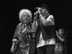 Toto Live Concert Photos 2026