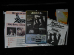 Zebra Live Concert Photos 2023