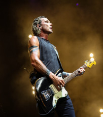 BUSH Live Concert Photos 2019