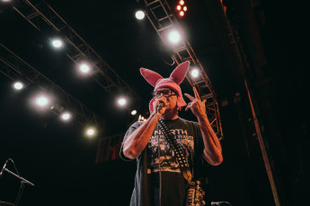 Descendents Circle Jerks 2024
