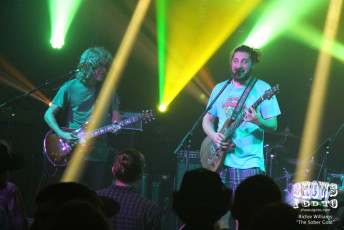 Pigeons Playing Ping Pong