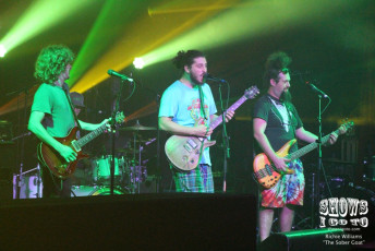 Pigeons Playing Ping Pong