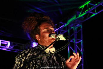 Dale Earnhardt Jr. Jr. | Live Concert Photos | March 7 2015 | Gasparilla Music Fest Tampa