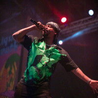 Juvenile Live Concert Photos 2024