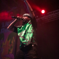 Juvenile Live Concert Photos 2024