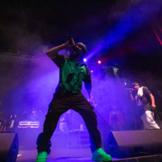 Juvenile Live Concert Photos 2024