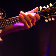 Mountain Grass Unit 2026