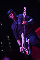 Nest Live Concert Photos 2024