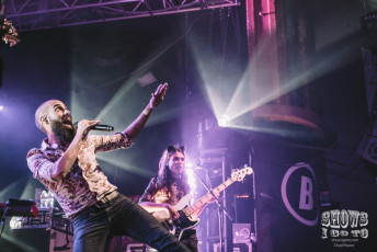 Rainbow Kitten Surprise