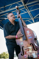The Wildtones | Southern Fried Sunday | January 17, 2016 | Will's Pub Orlando | Live Concert Photos