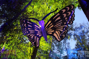 Suwannee Hulaween 2015 | Live Oak FL