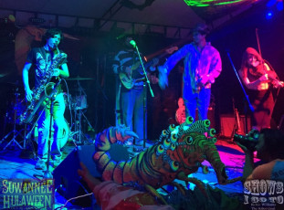 Suwannee Hulaween 2015 | Live Oak FL